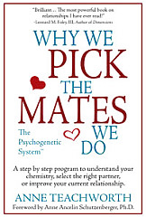 Why We Pick The Mates We Do book cover